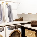 9-AMEK-Bloomington-2019-Laundry-Cat-10020