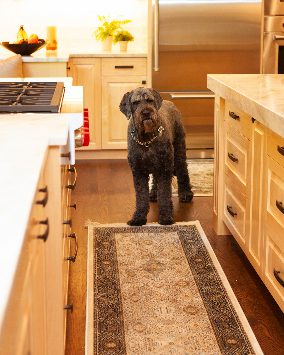 AMEK Plymouth Kitchen Dog June 2019 10007