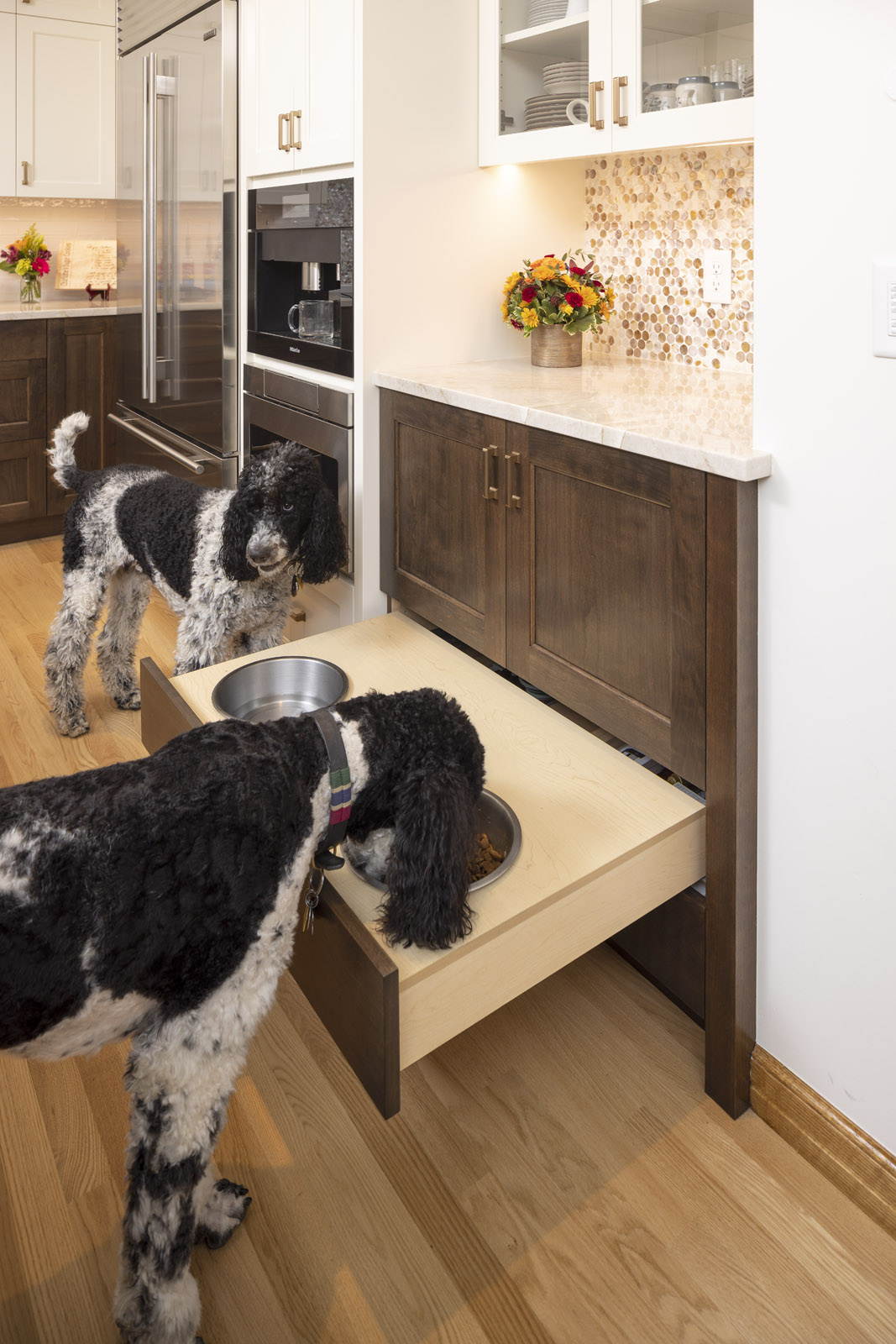 AMEK.Mendota.Heights.main .level 2022 17 Web Dogs